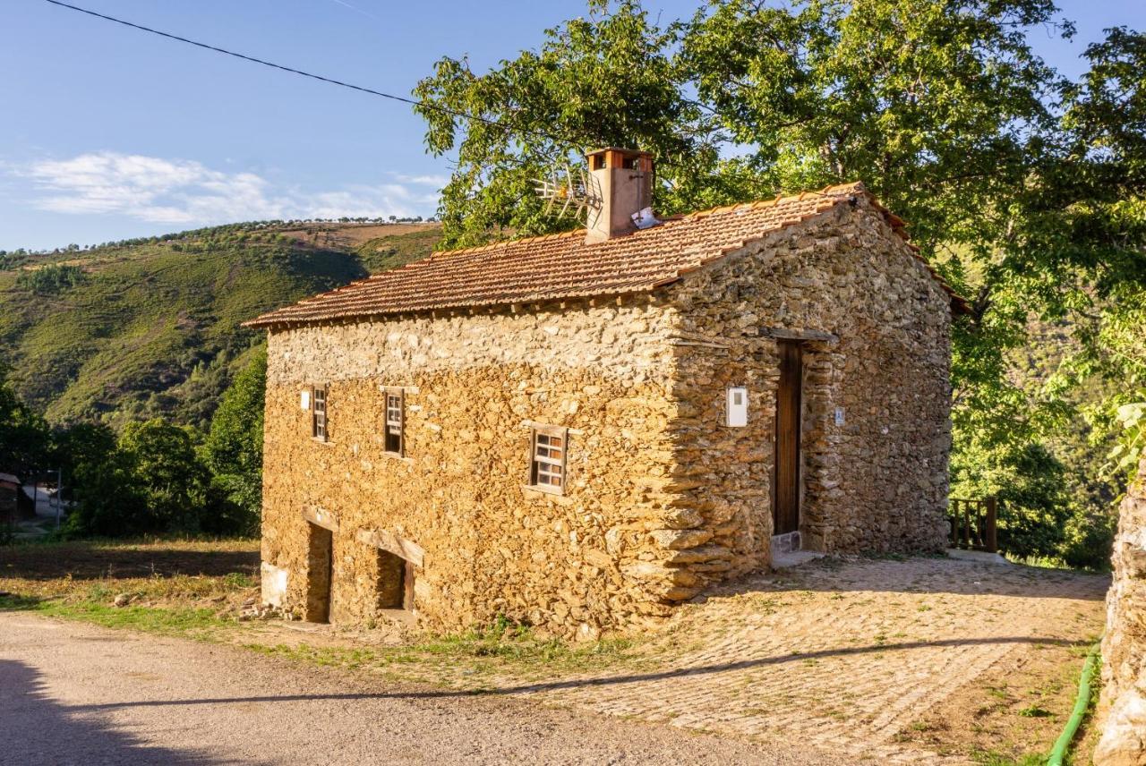 Casa Da Corrica - Alojamento Local Negreda Dış mekan fotoğraf